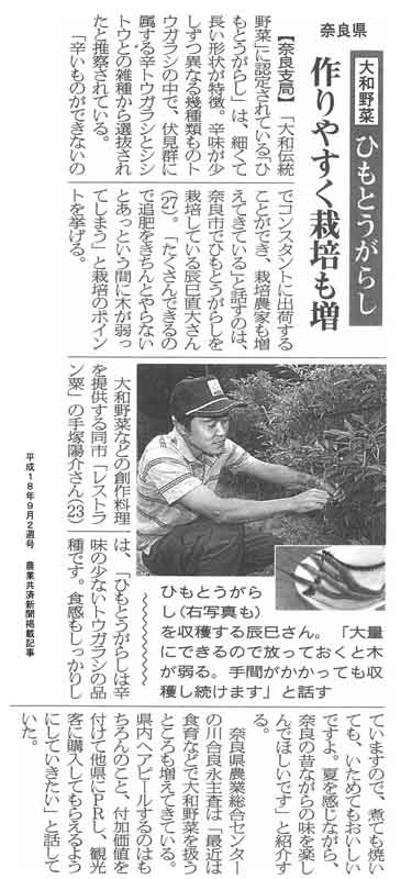 ひもとうがらし 作りやすく栽培も増
