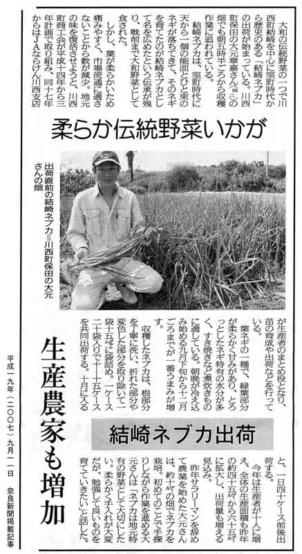 柔らか伝統野菜いかが 結崎ネブカ出荷