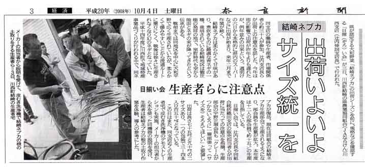 結崎ネブカ 出荷いよいよサイズ統一を