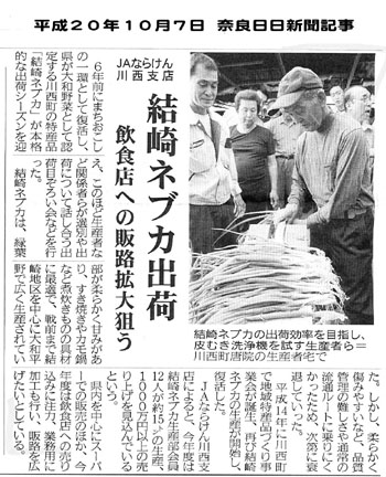 結崎ネブカ出荷 飲食店への販路拡大を狙う