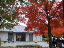 ナガレ山古墳前の紅葉