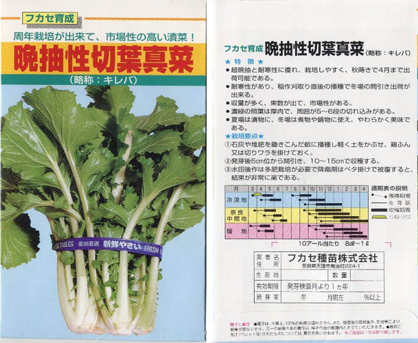 大和まな種袋（１）