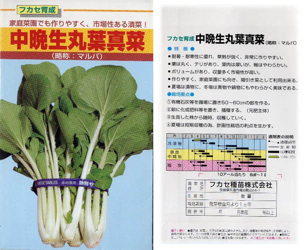 大和まな種袋（４）