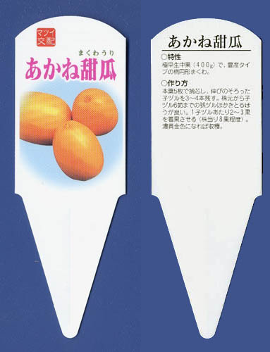 黄金まくわ苗札（１）
