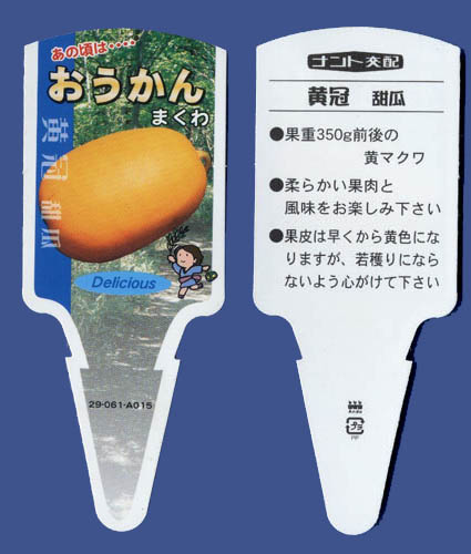 黄金まくわ苗札（２）