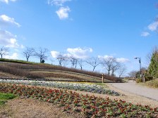 馬見花苑と花の広場