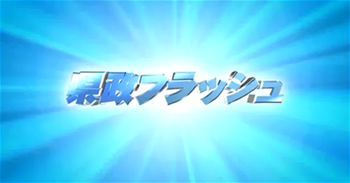 県政フラッシュロゴ画像