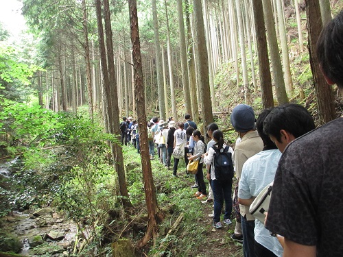 吉野林業の施業が行われている山林