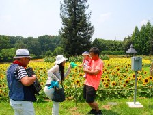 大道芸