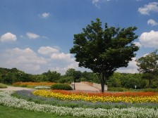 花笑み橋前花壇