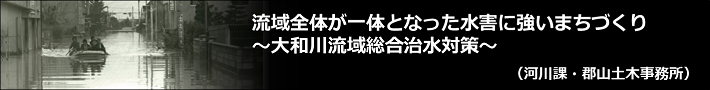 「大和川流域総合治水対策」の記事へ