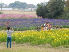 秋の花畑