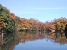 タダオシ池の紅葉