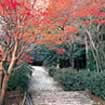 室生寺（宇陀市）