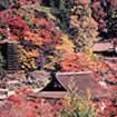 談山神社（桜井市）