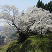 佛隆寺（宇陀市）