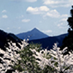 高見山（東吉野村）