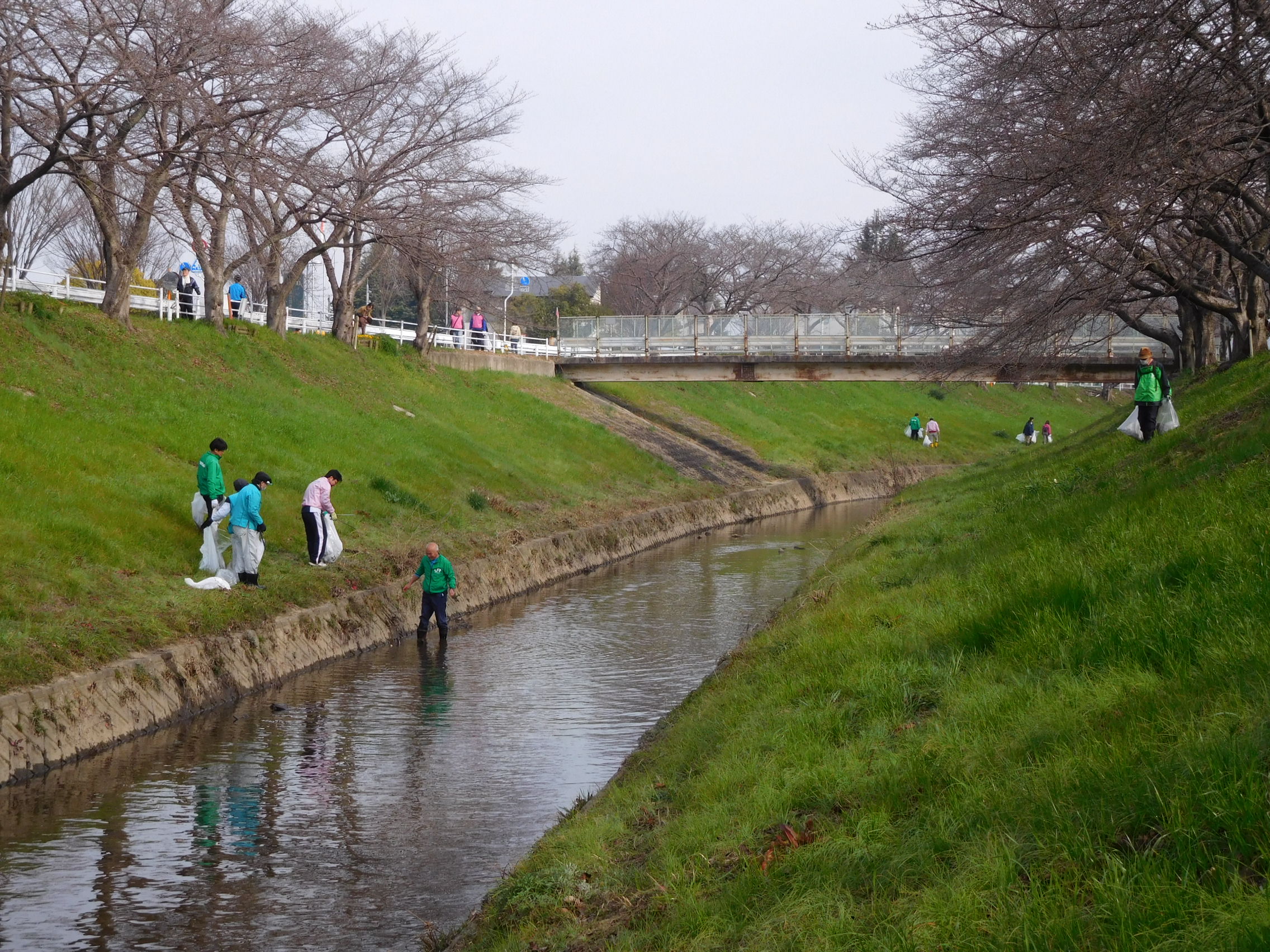 奈良市・佐保川