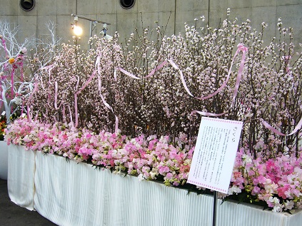 春の切り枝の代表、「ケイオウザクラ」のディスプレイ