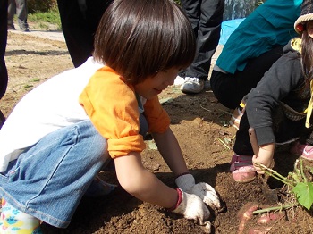 もりのようちえんで遊ぶ子どもの画像