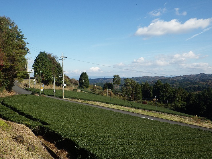 神野山山麓から見下ろす茶園の画像3