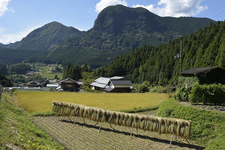 鎧岳・兜岳を望む曽爾高原の田園風景の画像