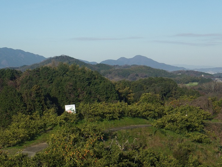 二上山を望む明日香の果樹園の画像1