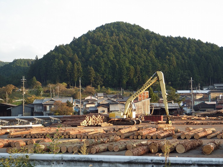 世界遺産の麓　吉野の貯木場の画像1