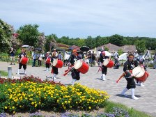 琉球祭り太鼓