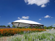 大型テント横の花壇