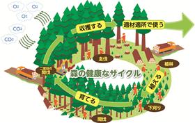 森林のサイクル図