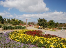 ダリア園前花壇