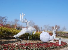 イルミネーションの飾り付け