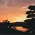 生駒山、若草山を眺望できる垂仁天皇陵の画像