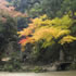 四季の彩りを望む桃尾の滝の画像