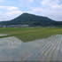 畝傍山を眺望できる大和高田バイパスの画像
