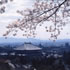 東大寺大仏殿、奈良盆地が眺望できる奈良奥山ドライブウェイ沿いの画像