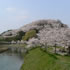 三室山が眺望できる竜田公園、岩瀬橋の画像