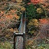 シオカラ吊橋の画像