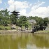 猿沢池越しに望む興福寺五重塔と五十二段の画像