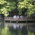 高鴨神社境内の宮池と浮舞台で奉納される雅楽と舞の画像