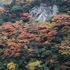 井戸橋から望む紅葉の画像