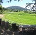 山の辺の道周辺に広がる穴師の棚田と三輪山の風景の画像