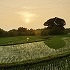 神話の舞台　高天原の夜明けの画像