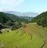 かむらから見下ろす明日香の棚田風景の画像