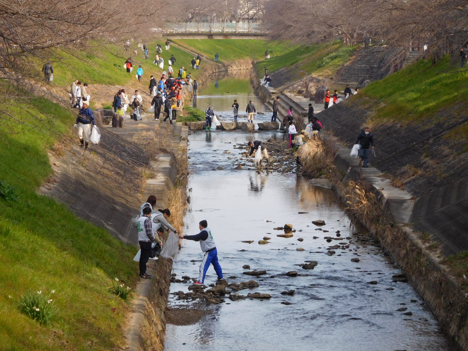 奈良市・佐保川