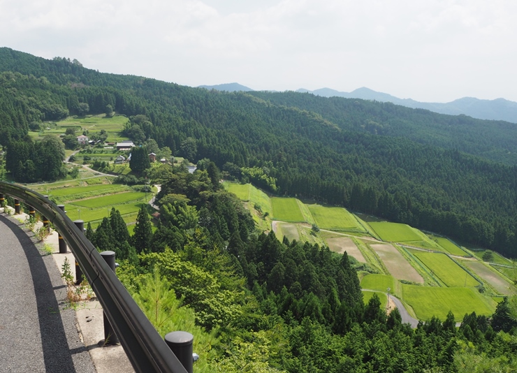 室生寺と佛隆寺を結ぶ室生古道からの榛原赤埴の棚田の画像1