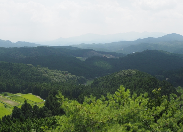 室生寺と佛隆寺を結ぶ室生古道からの榛原赤埴の棚田の画像2