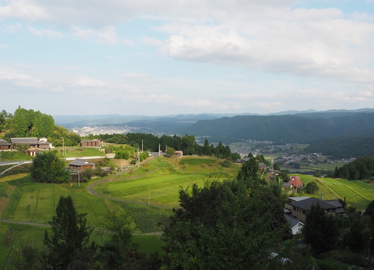 室生深野の棚田の画像1