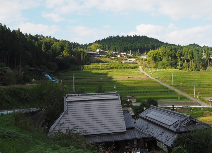 室生深野の棚田の画像2